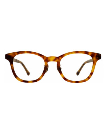 WELLER / Tortoise / Clear Lens
